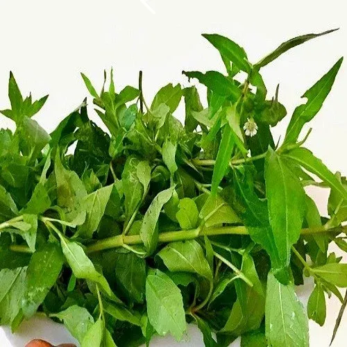 கரிசலாங்கண்ணி கீரை – Bhringraj Leaves 1bun