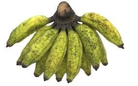 மலை வாழைப்பழம் – Hill Banana - 500gm