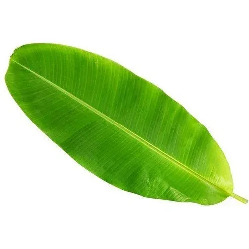முழு வாழை இலை – Whole Banana Leaf 1pc