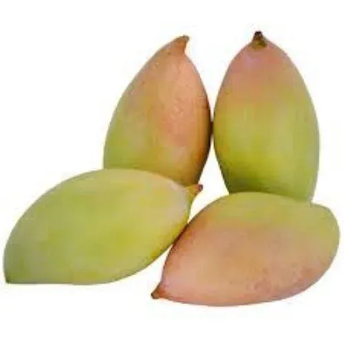 Raw Mango / கிளி மாங்காய் - 500gm