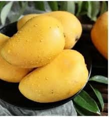 பங்கனப்பள்ளி மாம்பழம் – Banganapalli Mango  - 1kg