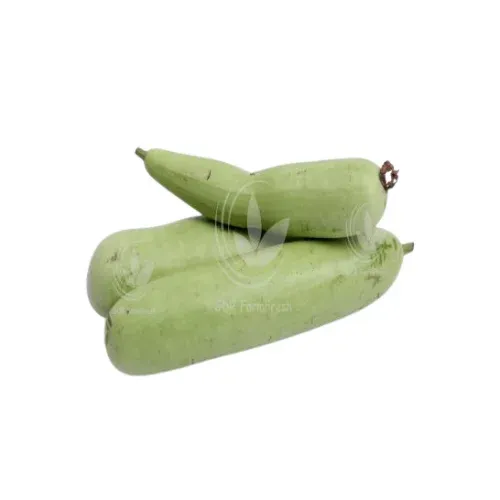 Bottle Gourd / சுரைக்காய் - 500gm