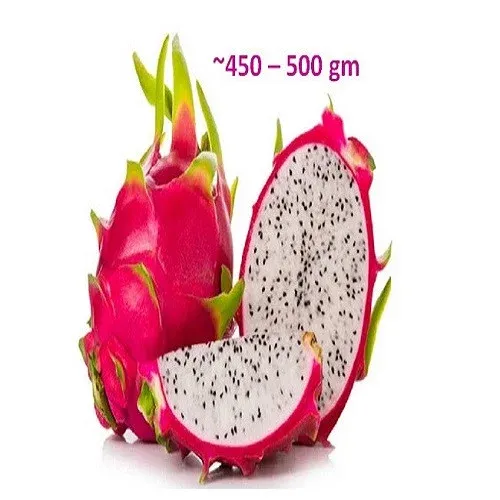 டிராகன் பழம் – Dragon Fruit - 1pc