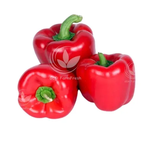 சிவப்பு குடைமிளகாய் – Red Bell Pepper 250gm