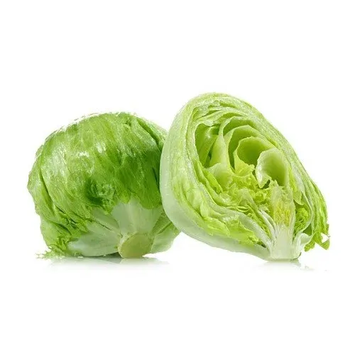ஐஸ்பெர்கு லெட்டூஸ் – Iceberg Lettuce 1kg