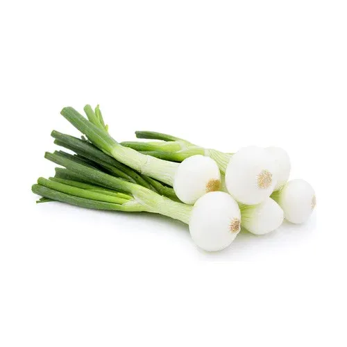 வெங்காயத்தாள் – Spring Onion (Green Onion) 1bun