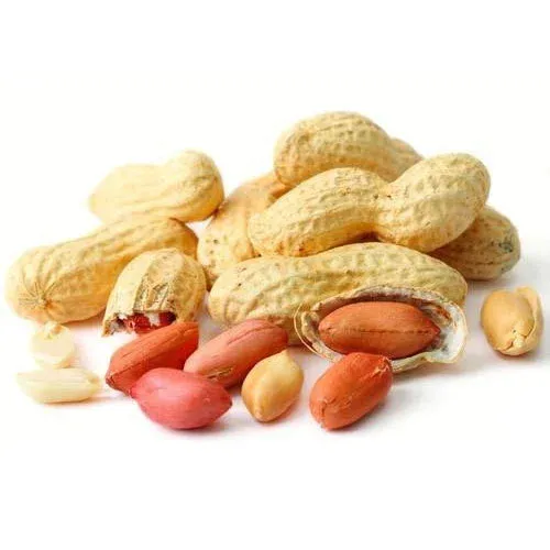 வேர்கடலை – Groundnut (Peanut) 500gm