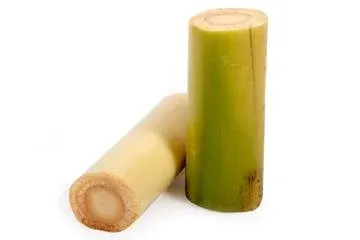 Banana Stem / வாழைத்தண்டு - 1pc