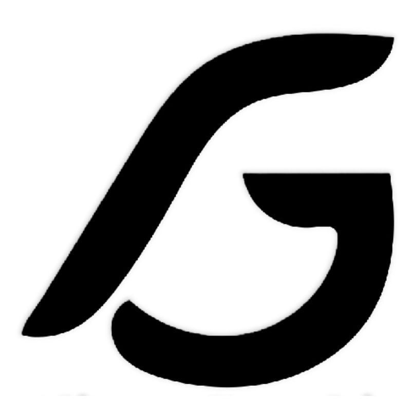 Professioanal & Modern Logo Design