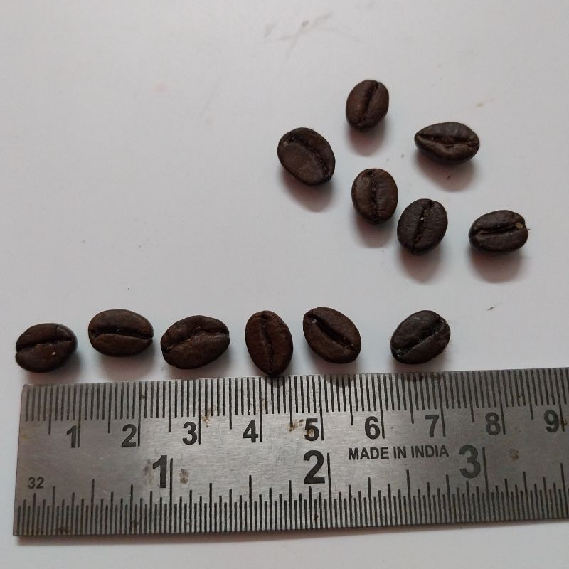 Coffee Bean Embeds Mould