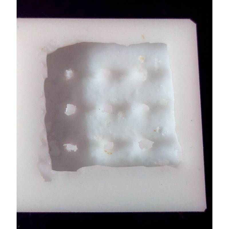 Crack Jack Biscuts Mould 2 Cavities