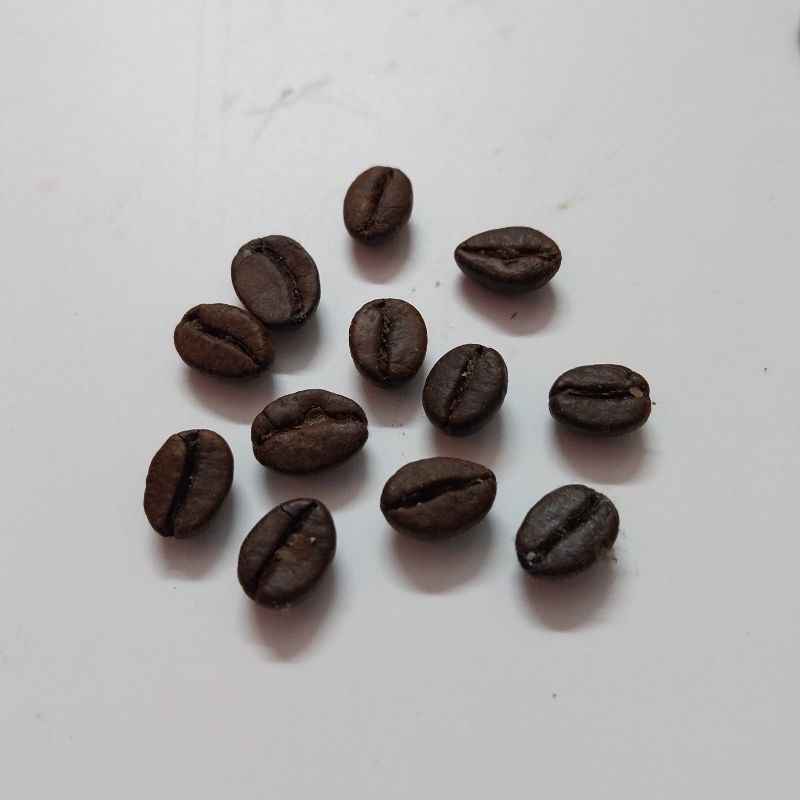 Coffee Bean Embeds Mould
