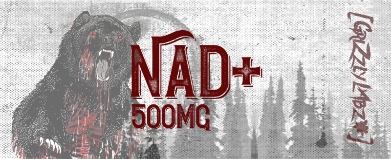 NAD+ / 500mg Vial