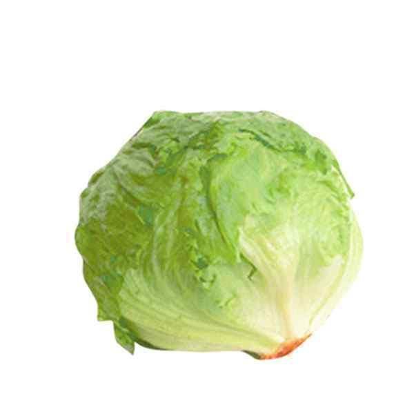 Fresh Gabage
