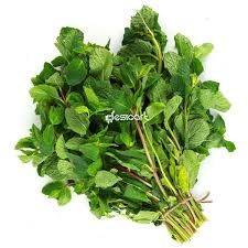 Mint Leaf