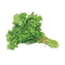 Coriander Leaf
