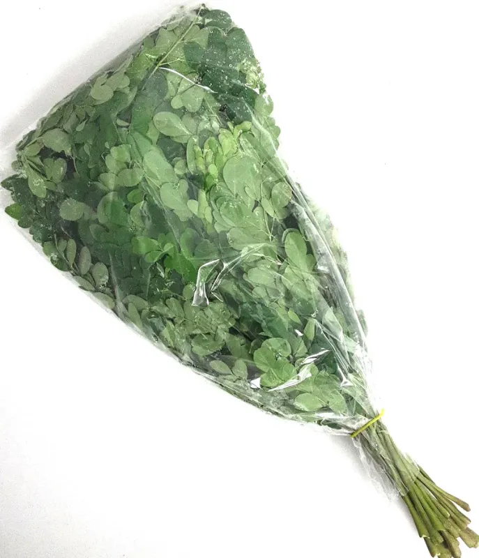 Drumstick Leaf