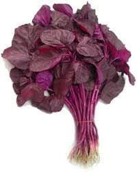 Red Spinach
