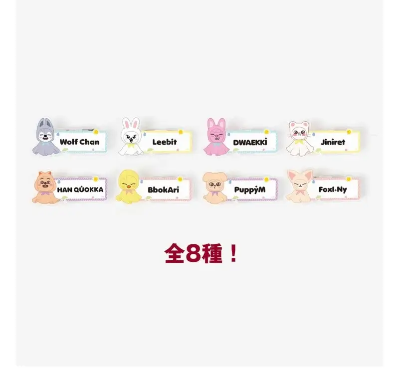 Random Name Badge / Stray Kids -『STRAY KIDS WORLD TOUR 2025』