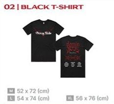 Black T-Shirt +/ Stray Kids -『dominATE Tour Asia (Jakarta)』🥠