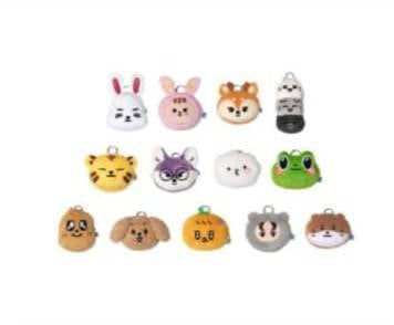 Coin Pouch / Miniteen House Party