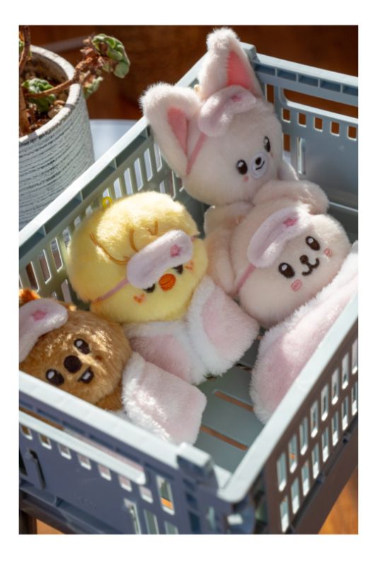 SKZOO Plush 10cm Ver.