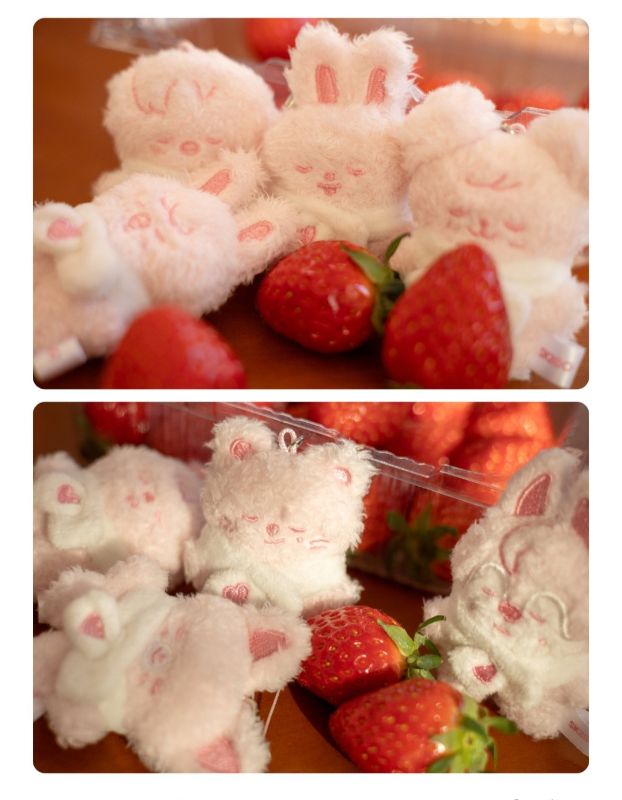 SKZOO Secret Plush Micro Ver.