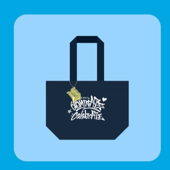 Reusable Bag