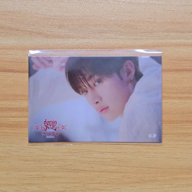 Sticker / Stray Kids dominATE Japan (Online Kuji) 🥠