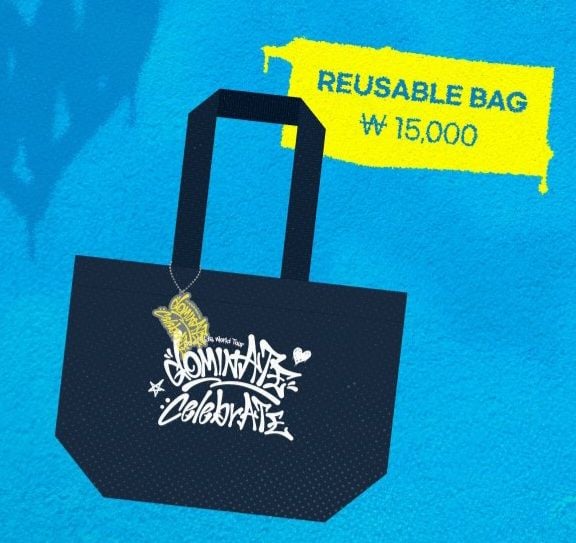 Reusable Bag