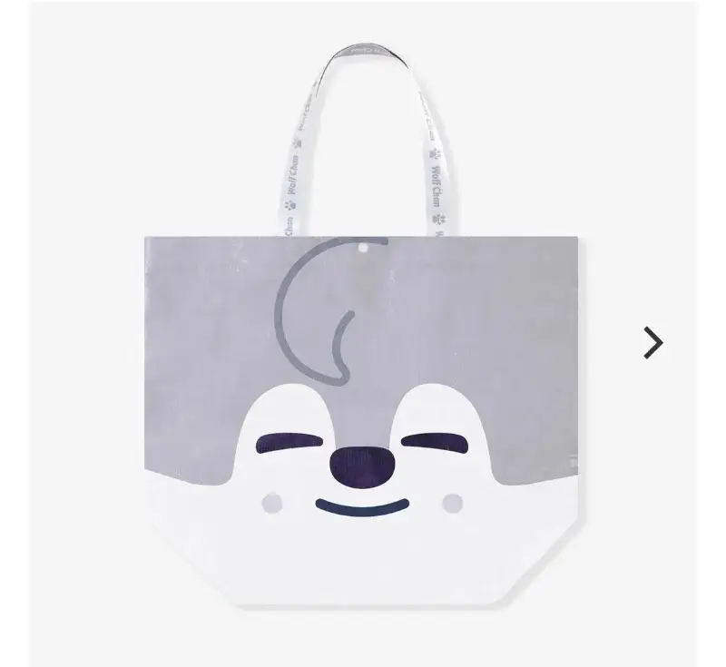Sping Bag / Stray Kids -『STRAY KIDS WORLD TOUR 2025』
