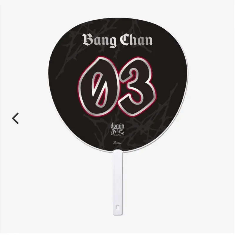 Image Picket / Stray Kids -『STRAY KIDS WORLD TOUR 2025』