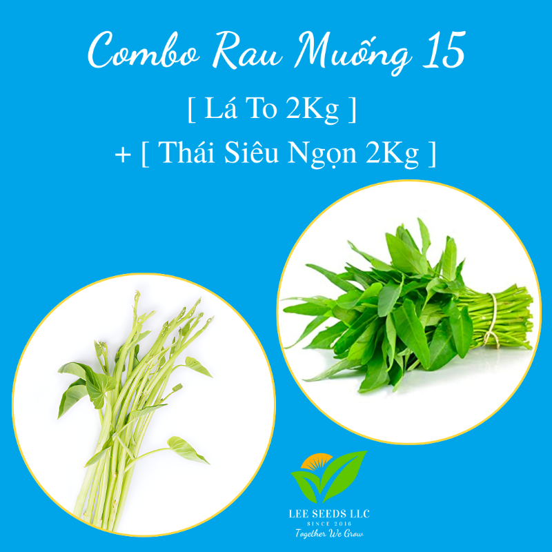 COMBO RAU MUỐNG 15 [ Free Shipping ]