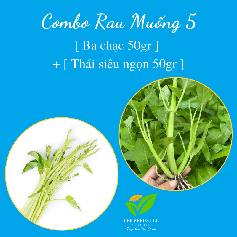 COMBO RAU MUỐNG 5