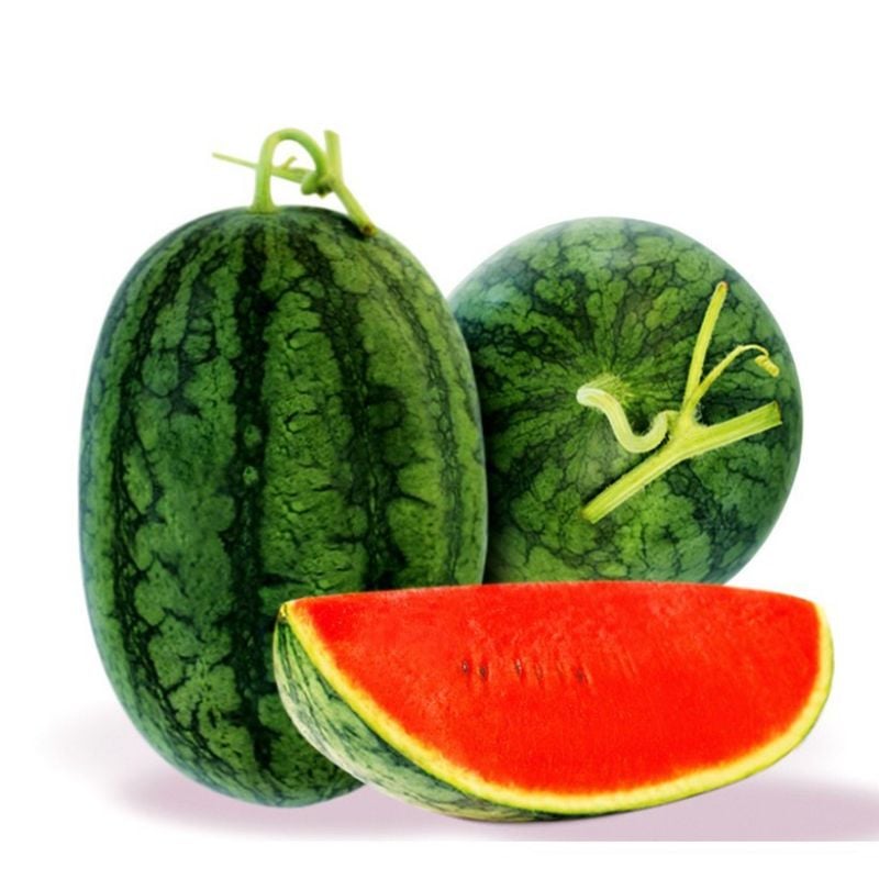 Dưa Hấu Ruột Đỏ [ E-W Seeds - Thái Lan ]