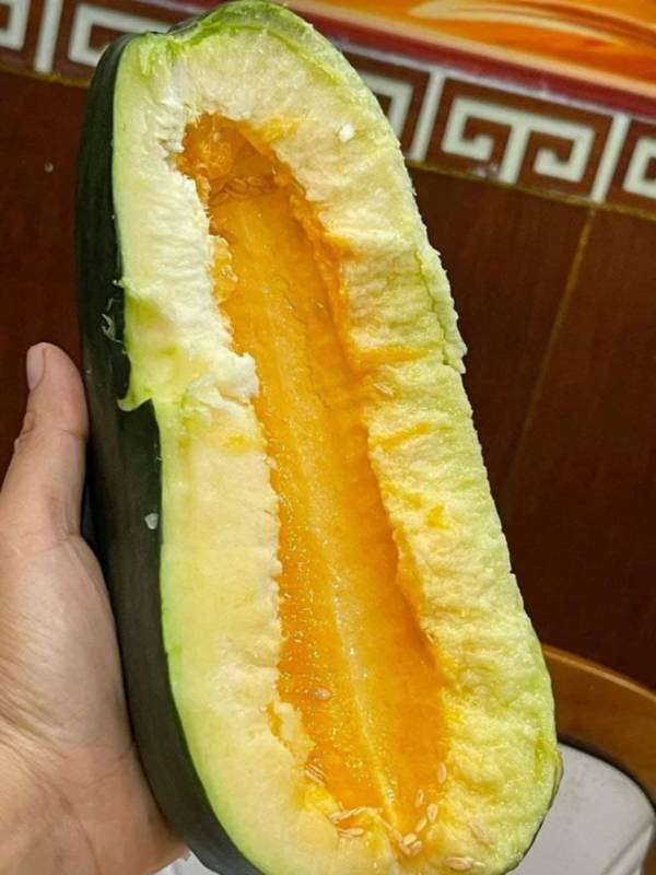 Dưa Gang Sáp Bình Định