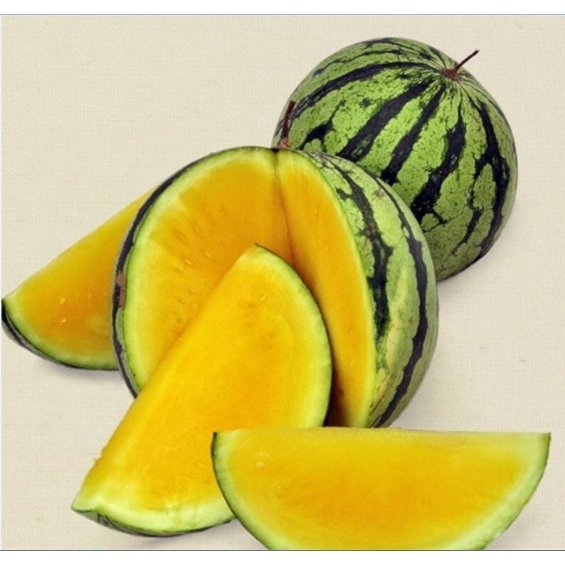 Dưa Hấu Ruột Vàng [ E-W Seeds - Thái Lan ]