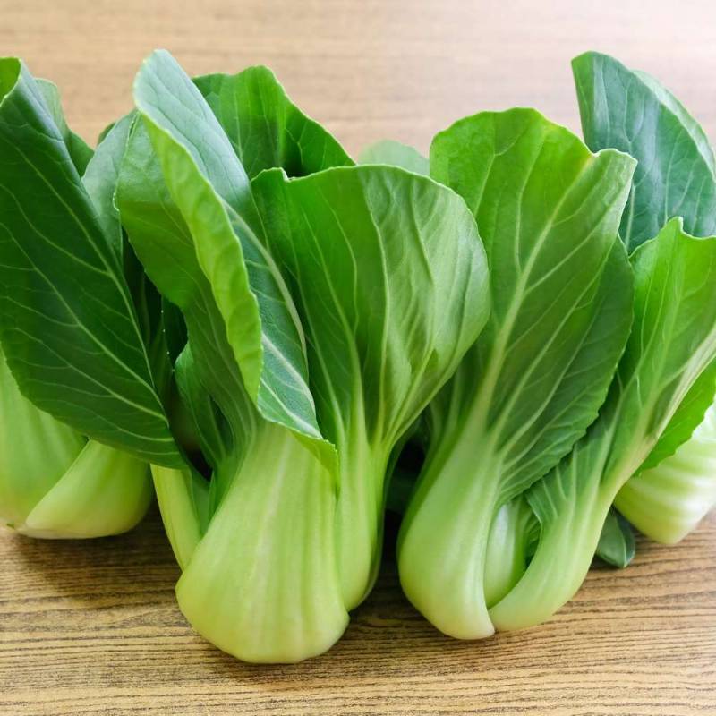 Cải Thìa Bẹ To