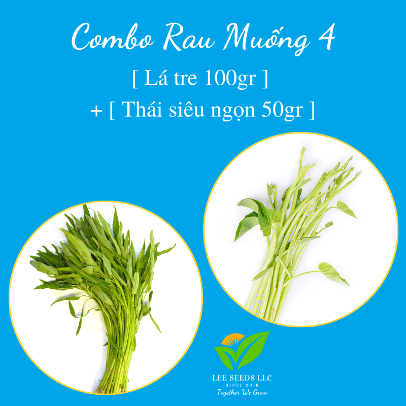 COMBO RAU MUỐNG 4