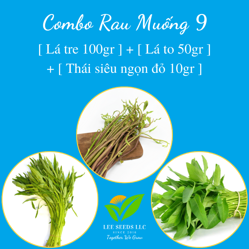 COMBO RAU MUỐNG 9