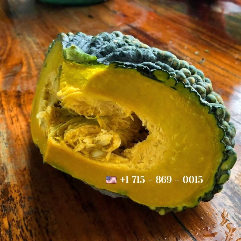 Bí Đỏ Da Cóc [ Home Garden - Thái Lan ]