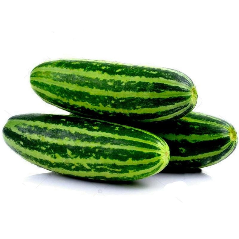 Dưa Gang Bở Mật  [ AAA - THÁI LAN ]