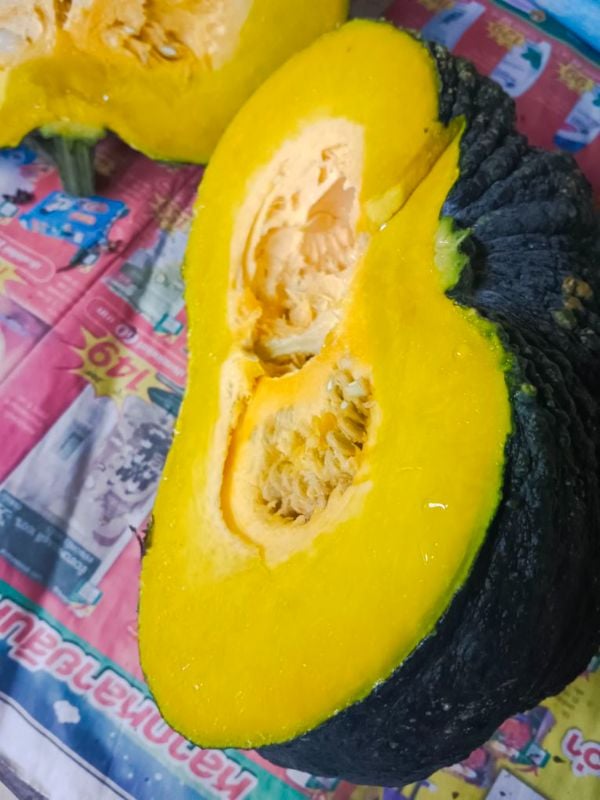 Bí Đỏ Nhám Đen [ E-W Seeds - Thái Lan ]