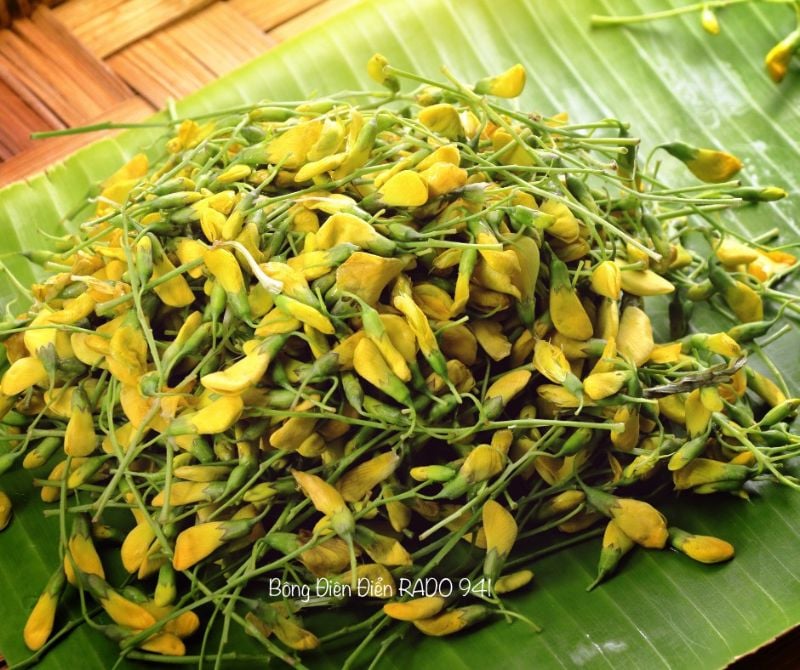 Bông Điên Điển RD941