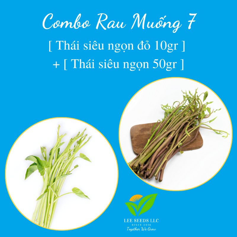COMBO RAU MUỐNG 7