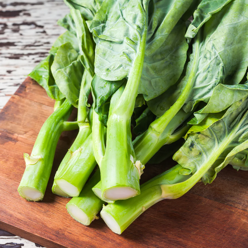 Cải Rổ [ E-W Seeds - Thái Lan ]