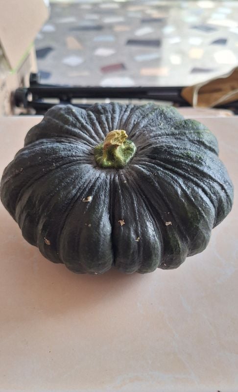 Bí Đỏ Trơn Đen [ E-W Seeds - Thái Lan ]