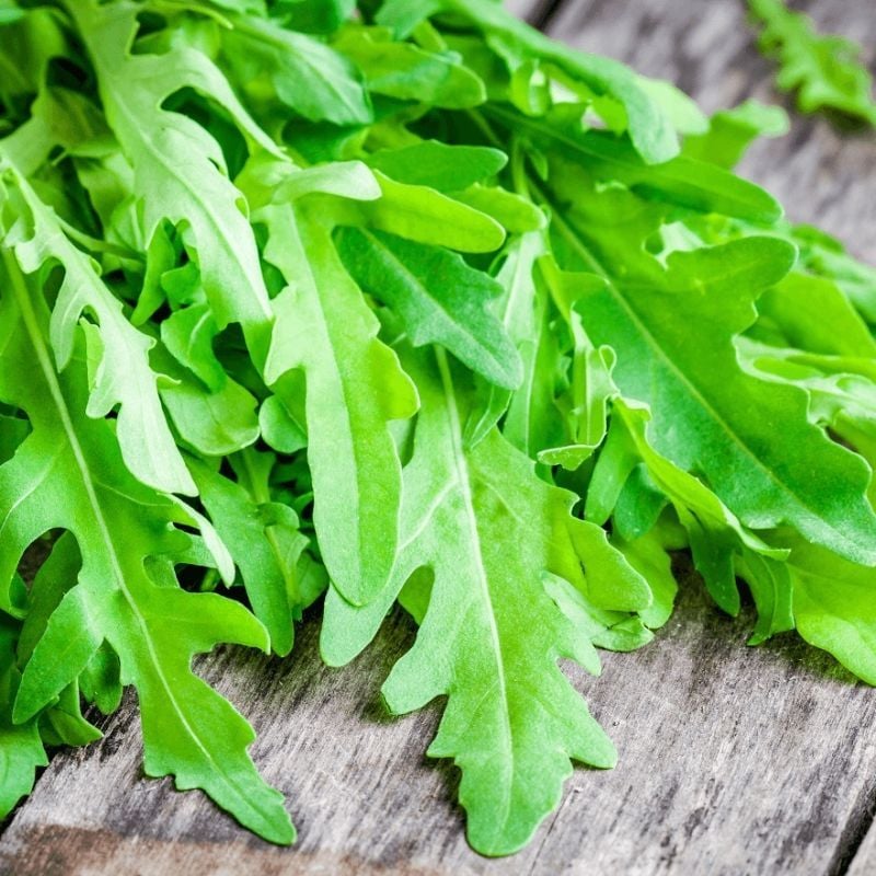 Cải Wild Rocket [ AAA - Thái Lan ]