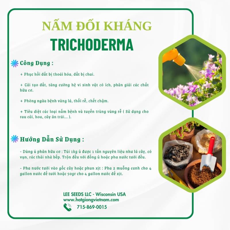 Nấm Đối Kháng Trichoderma
