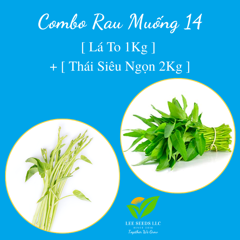 COMBO RAU MUỐNG 14 [ Free Shipping ]